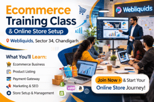 Ecommerce training class and online store setup at Webliquids Sector 34, Chandigarh