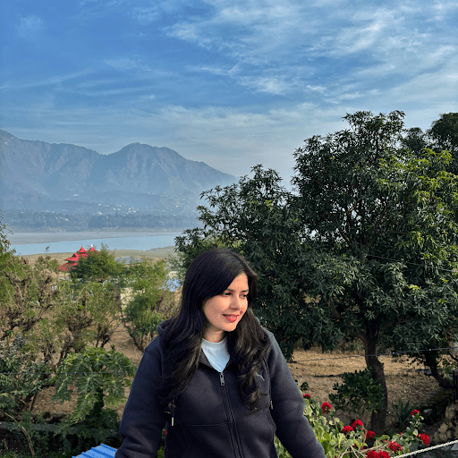 Digital Marketing Placement Reviews Chandigarh